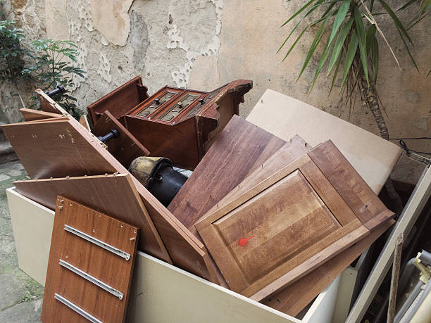 Yard Cleanup Services in Burnettown, SC